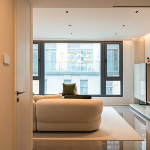 Sayyas Windows P120 Modern Fixed Picture View Passive House Standard Aluminum Clad Wood Window Manufacturer China