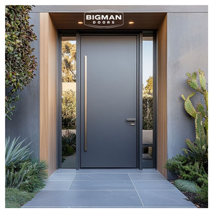British Modern Minimalist Dark Grey Security Pivot Door